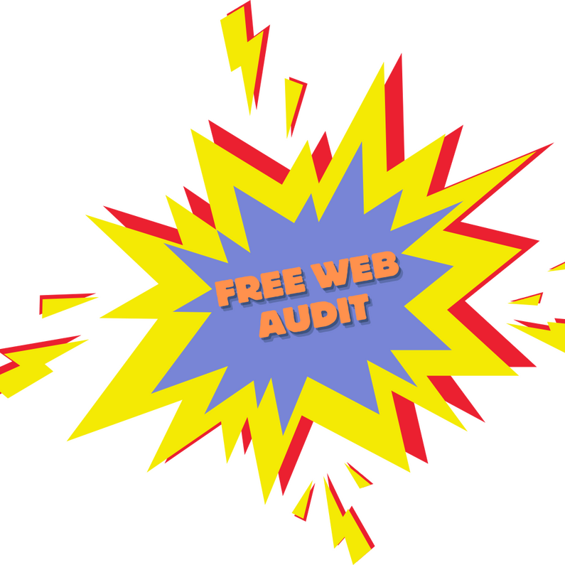 Free WebAudit for making websites accessibily for people with disabilites and compliance services. Decorative image with a young lady holding a laptop with hands and html code on the screen. Words include ADA, section 508 Websites, Data Privacy, Reputation