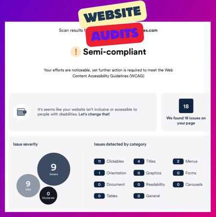 screen shot of a website acessibility audit