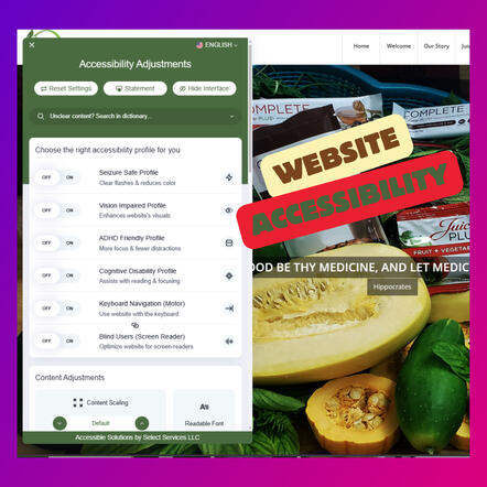 screen shot of an acessibility menu on a website