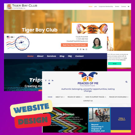 Screenshots of various websites designs